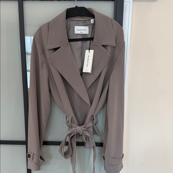 ARITZIA Babaton Taupe Trench Coat